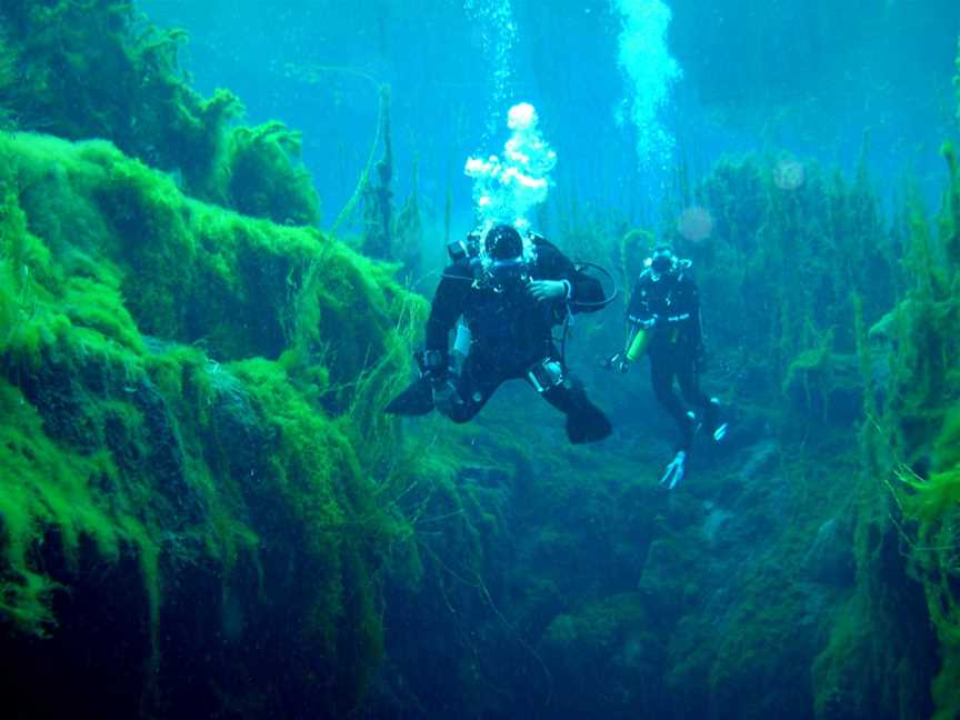 Piccaninnie Ponds Conservation Park, Wye, SA