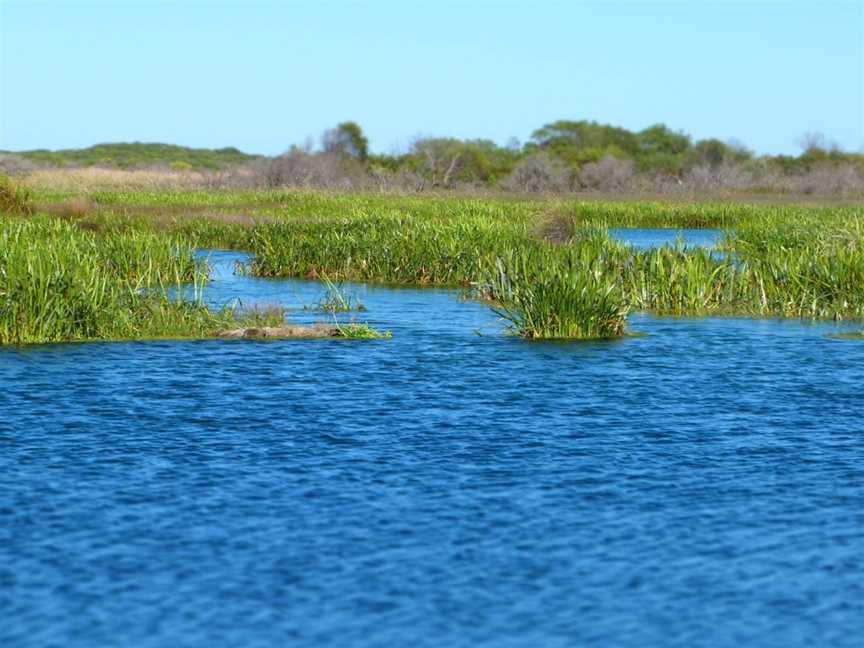 Piccaninnie Ponds Conservation Park, Wye, SA