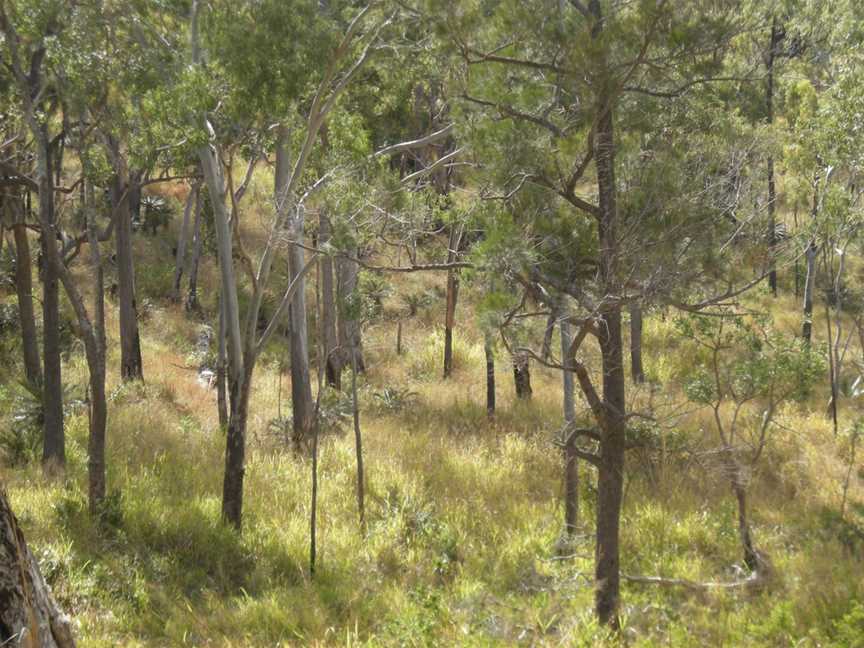 Mount Archer National Park, Rockhampton, QLD