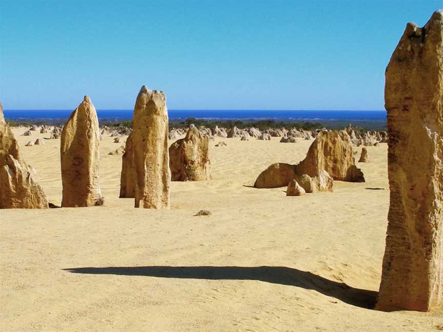 Nambung National Park, Cervantes, WA