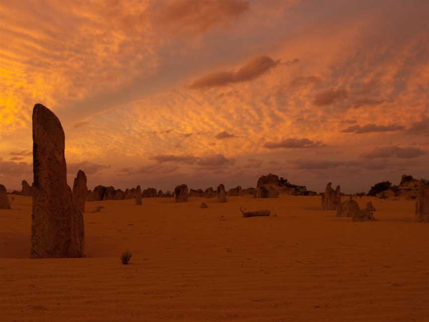 Nambung National Park, Cervantes, WA