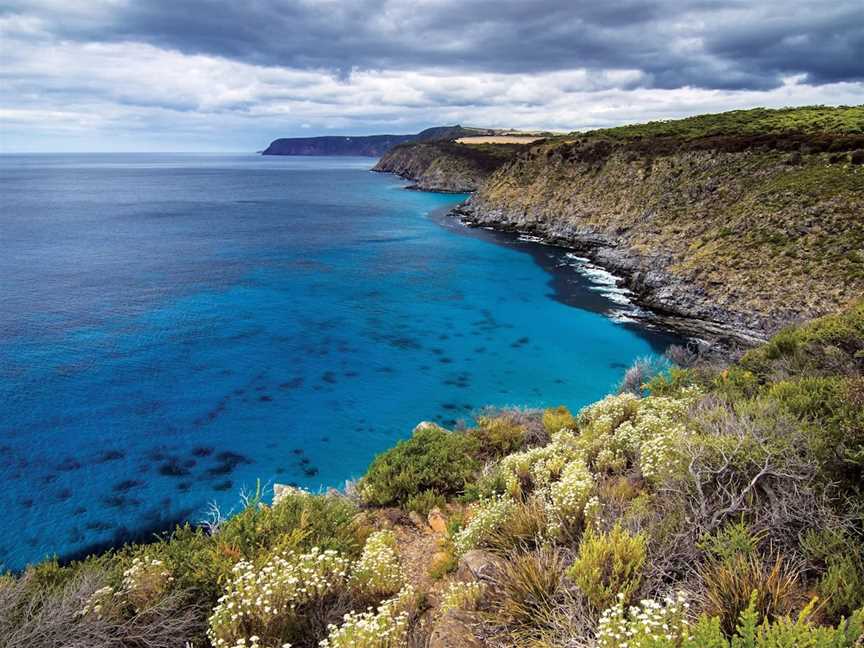 Cape Borda Lightstation - Flinders Chase National Park, Cape Borda, SA