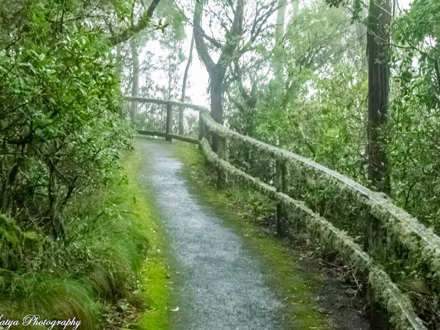 Point Lookout, Ebor, NSW