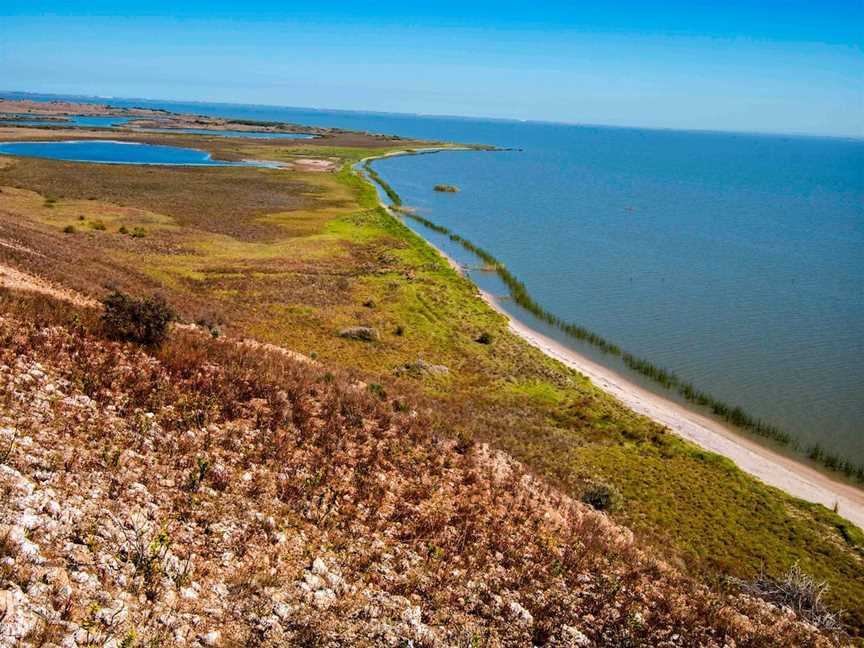 Narrung & Lake Albert Scenic Loop, Poltalloch, SA