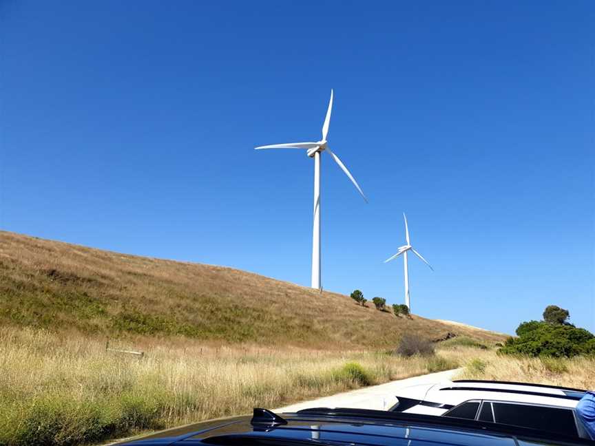 Woakwine Range Wind Farm Tourist Drive, Tantanoola, SA