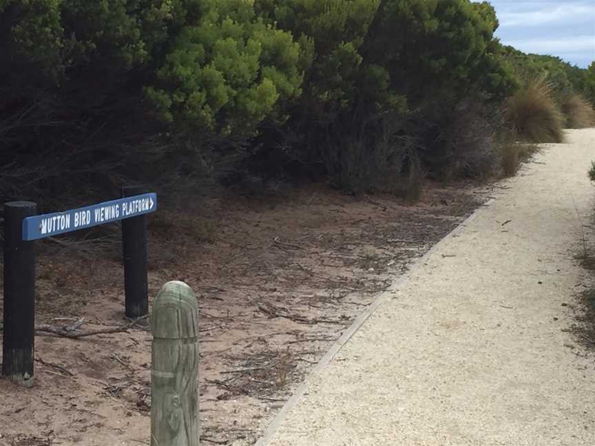 Settlement Point Viewing Platform, Flinders Island, TAS