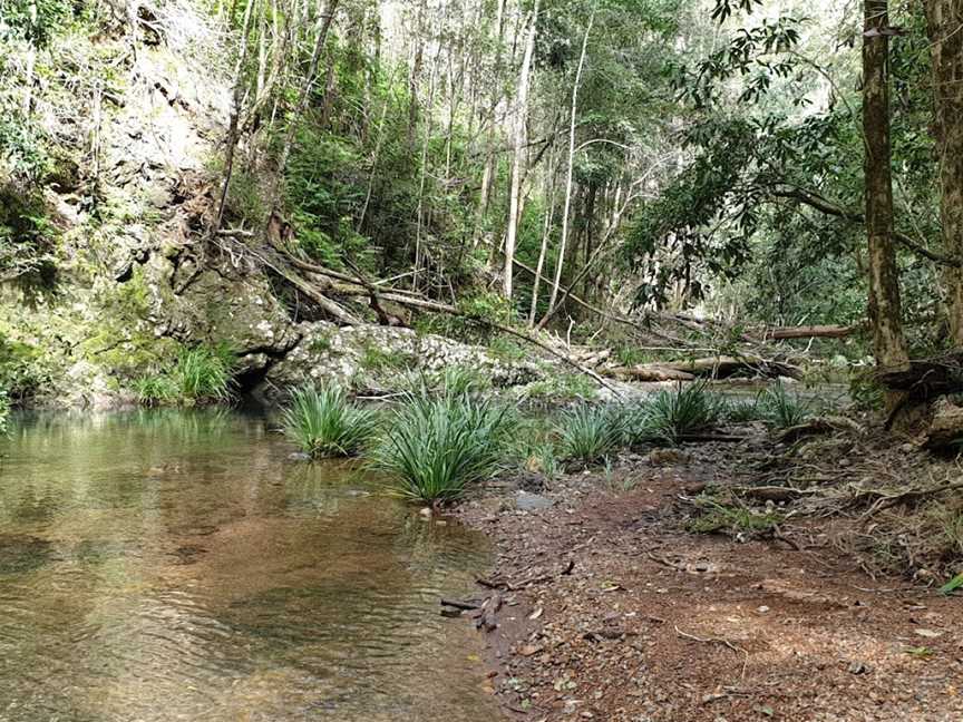 Potoroo Falls walk, Dingo Forest, NSW