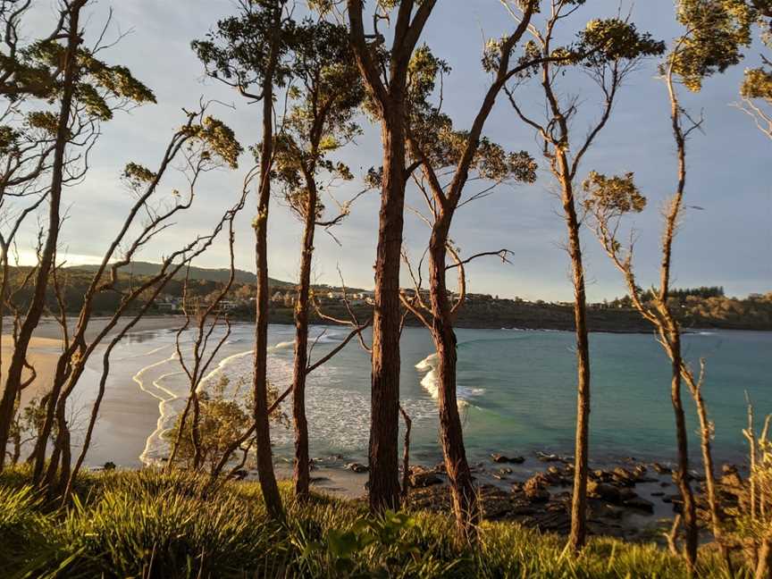 Snapper Point lookout, Pretty Beach, NSW