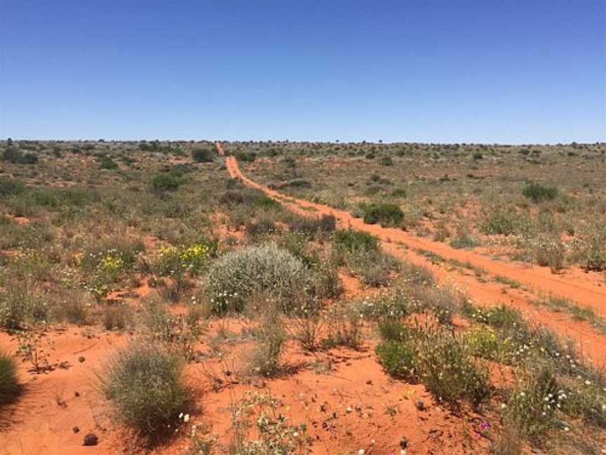 Munga-Thirri  National Park (Simpson Desert), Birdsville, QLD