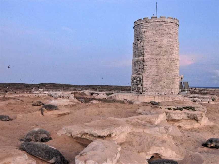 Raine Island, Raine Island, QLD