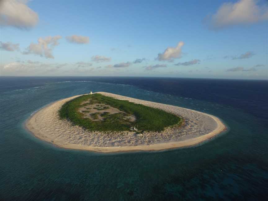 Raine Island, Raine Island, QLD