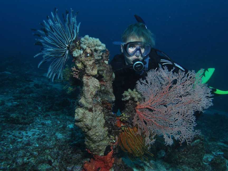 Two Towers Dive Site, Cairns City, QLD