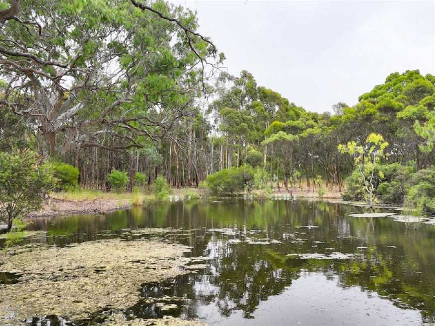 Greenrise Recreational Reserve, Penola, SA