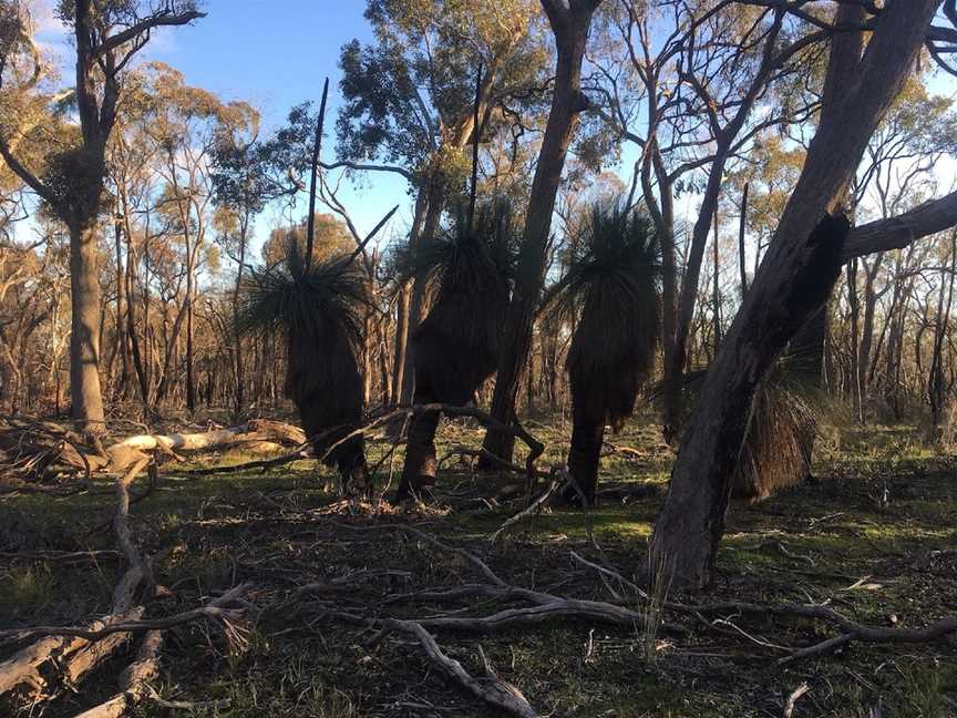 Pangerang Lookout Walk, Killawarra, VIC