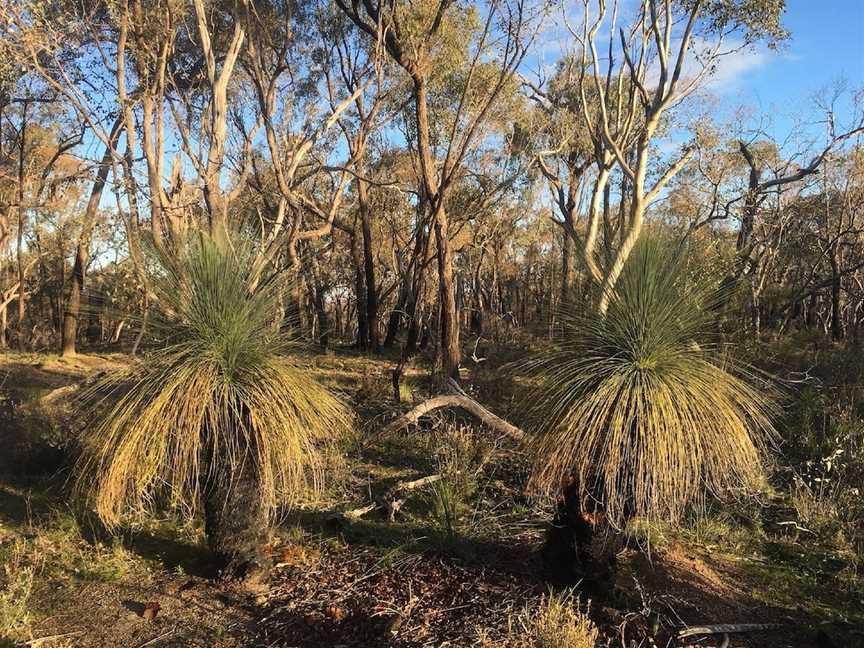 Pangerang Lookout Walk, Killawarra, VIC