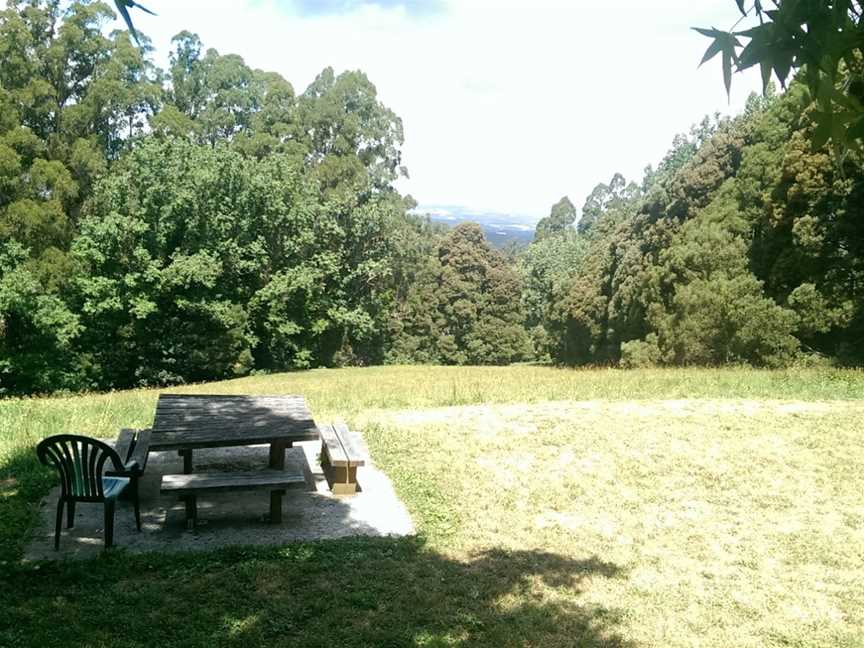 Mount Dandenong Arboretum, Mount Dandenong, VIC