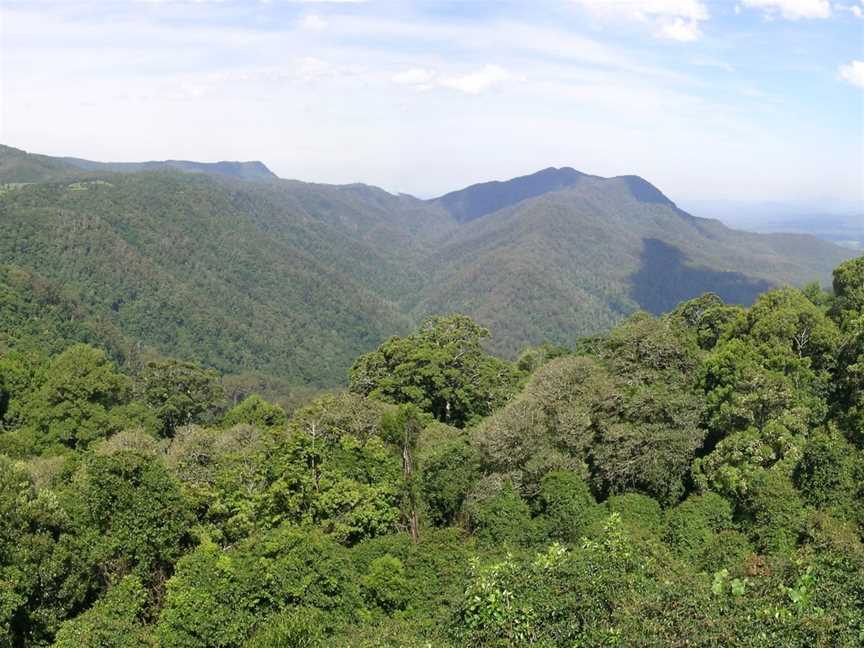 Dorrigo National Park, Never Never, NSW