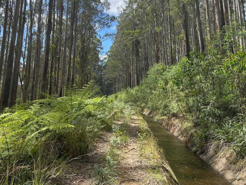 Rubicon Aqueducts Walk to Rubicon Dam, Rubicon, VIC