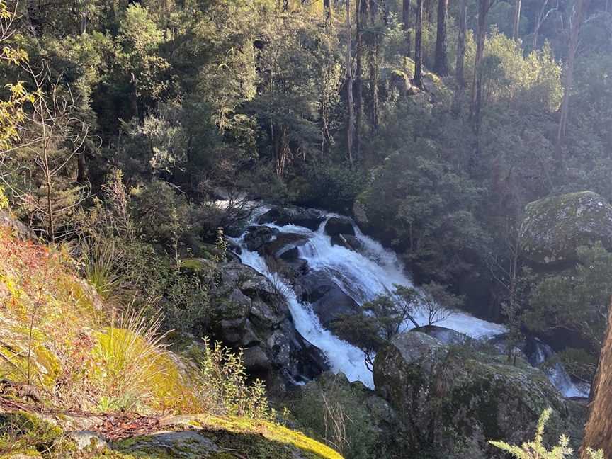 Rubicon Falls Walk, Rubicon, VIC