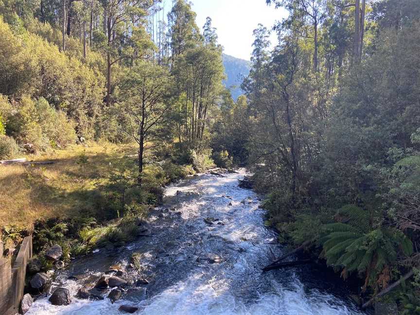 Rubicon Falls Walk, Rubicon, VIC