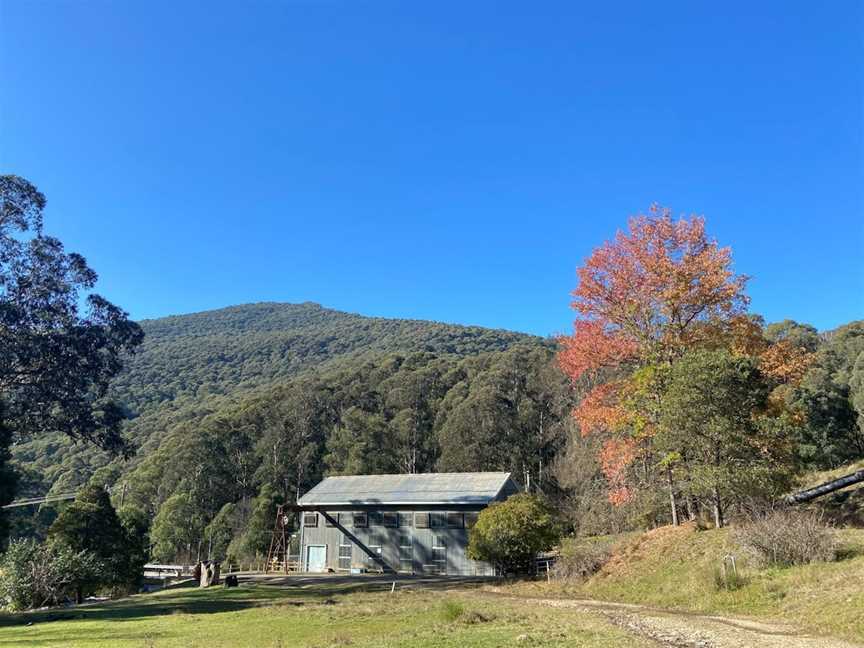 Rubicon Falls Walk, Rubicon, VIC