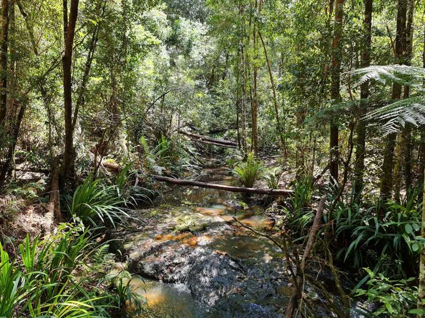 Whian Whian State Conservation Area, Whian Whian, NSW