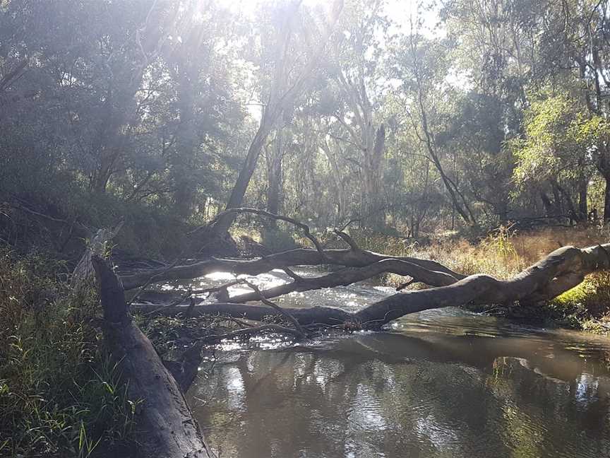 Kaluna Park, Wangaratta, VIC