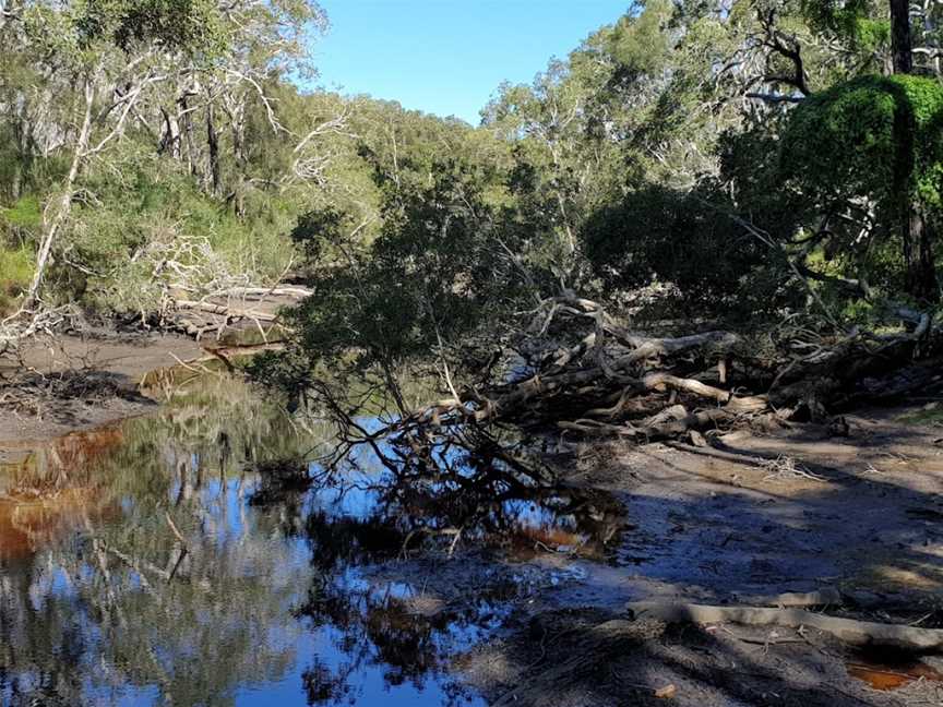 Five Islands Walking Track, Saltwater, NSW