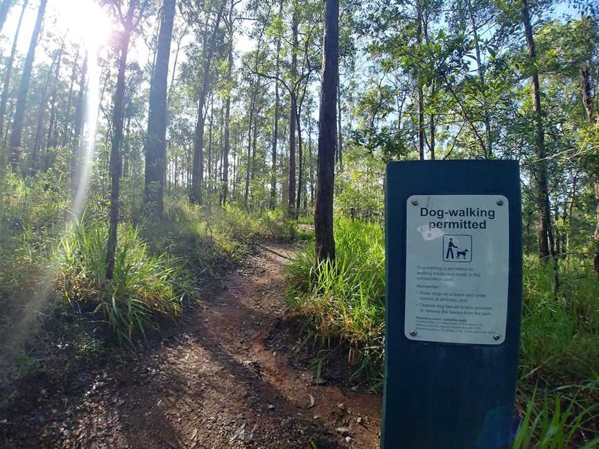 Samford Conservation Forest, Ferny Hills, QLD