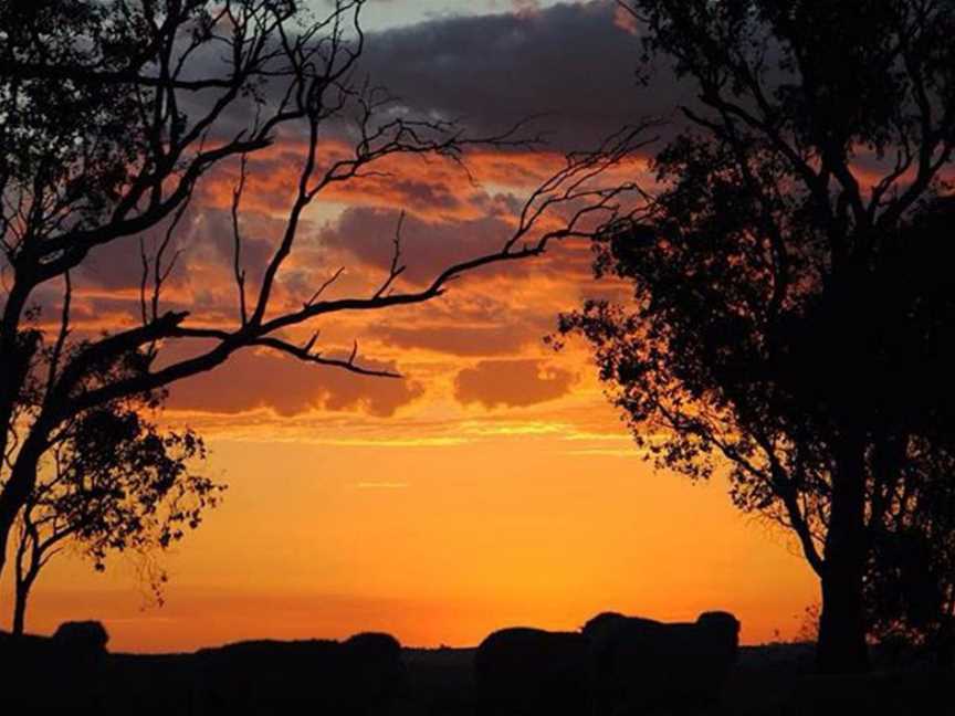 Touts Lookout, Monteagle, NSW