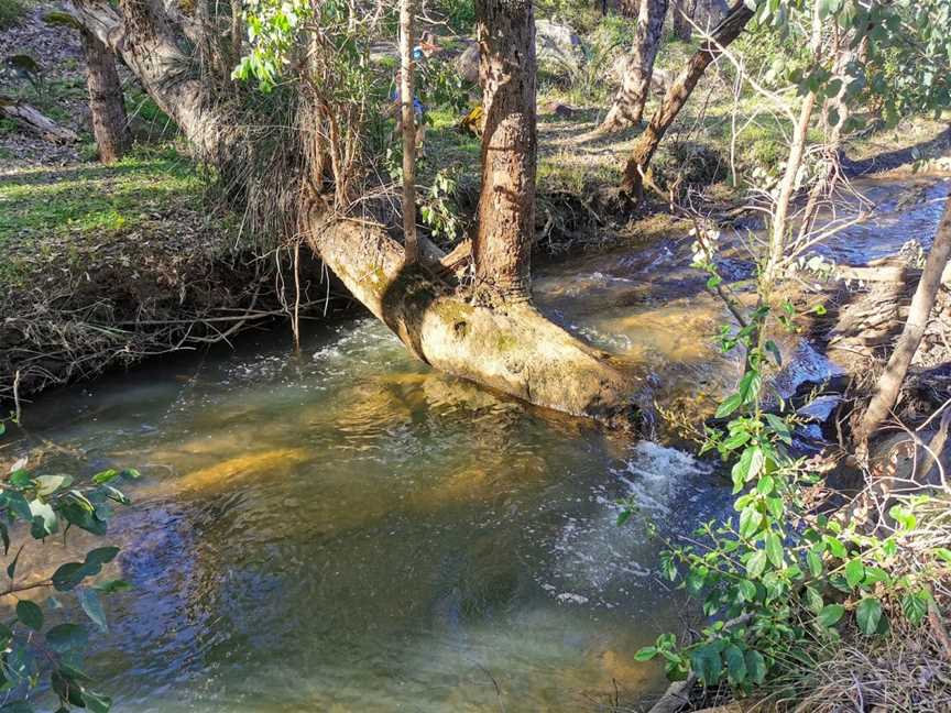 Kalamunda National Park, Piesse Brook, WA