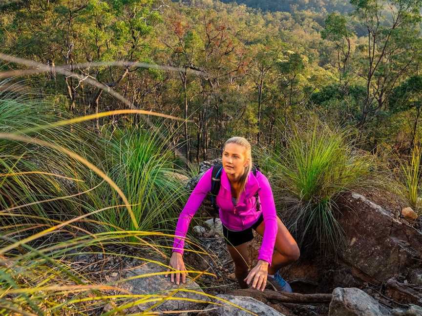 White Rock - Spring Mountain Conservation Estate, Redbank Plains, QLD