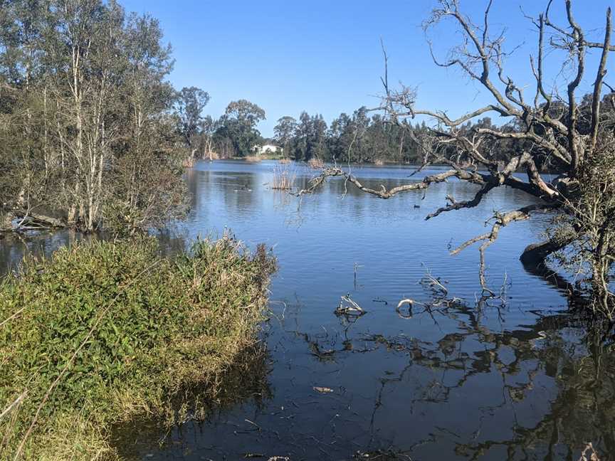 Seaham Swamp Nature Reserve, Seaham, NSW