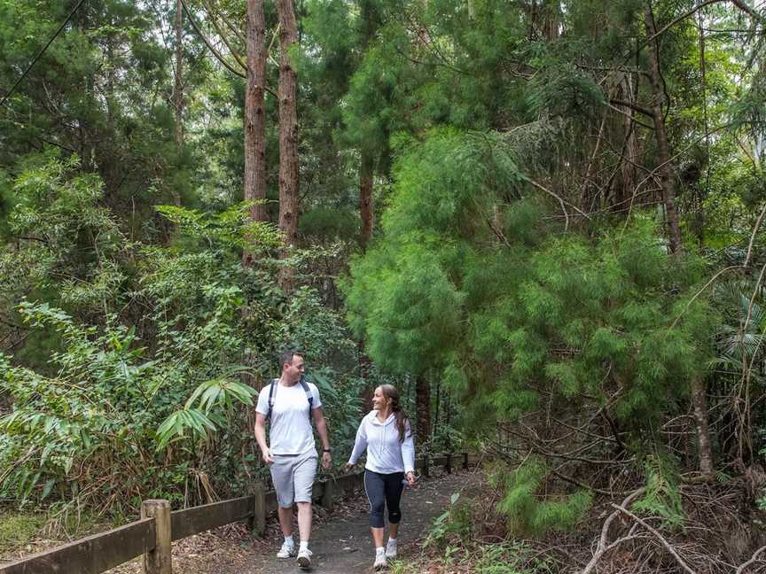 Somerset Trail, Mount Mee, QLD