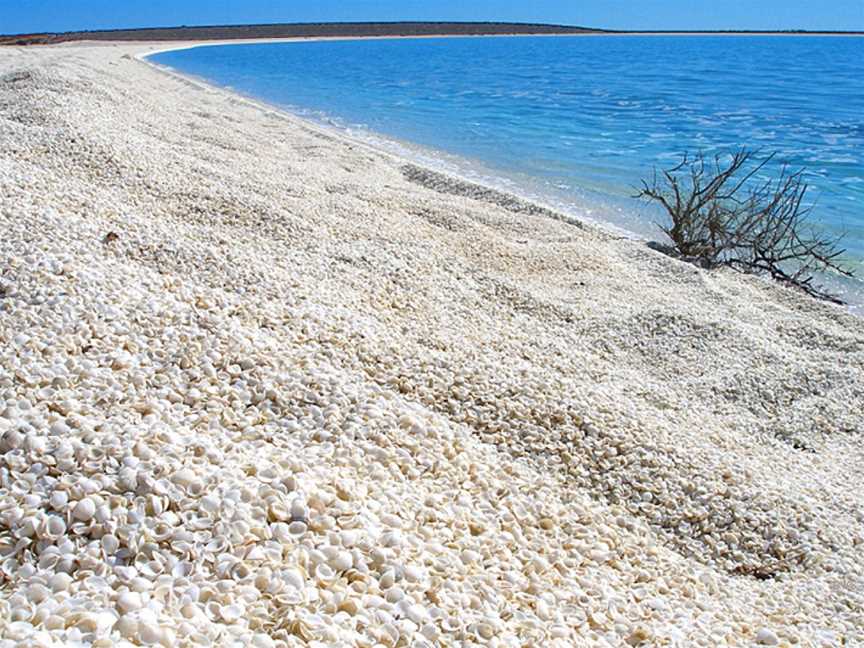 Shark Bay, Iluka, NSW