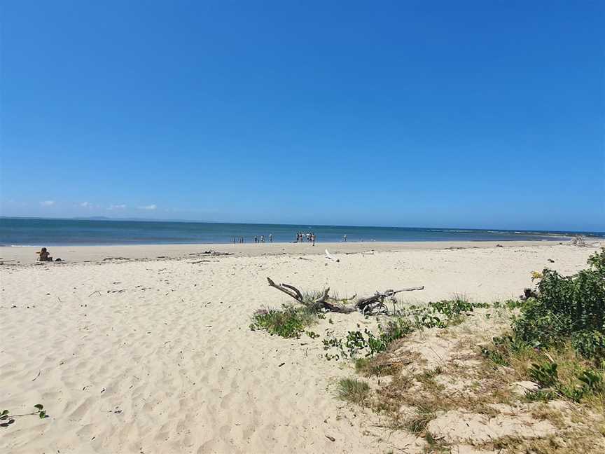 Shark Bay picnic area, The Freshwater, NSW