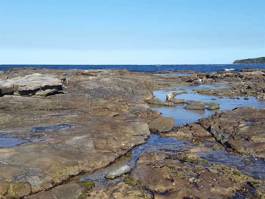 Shark Bay picnic area, The Freshwater, NSW