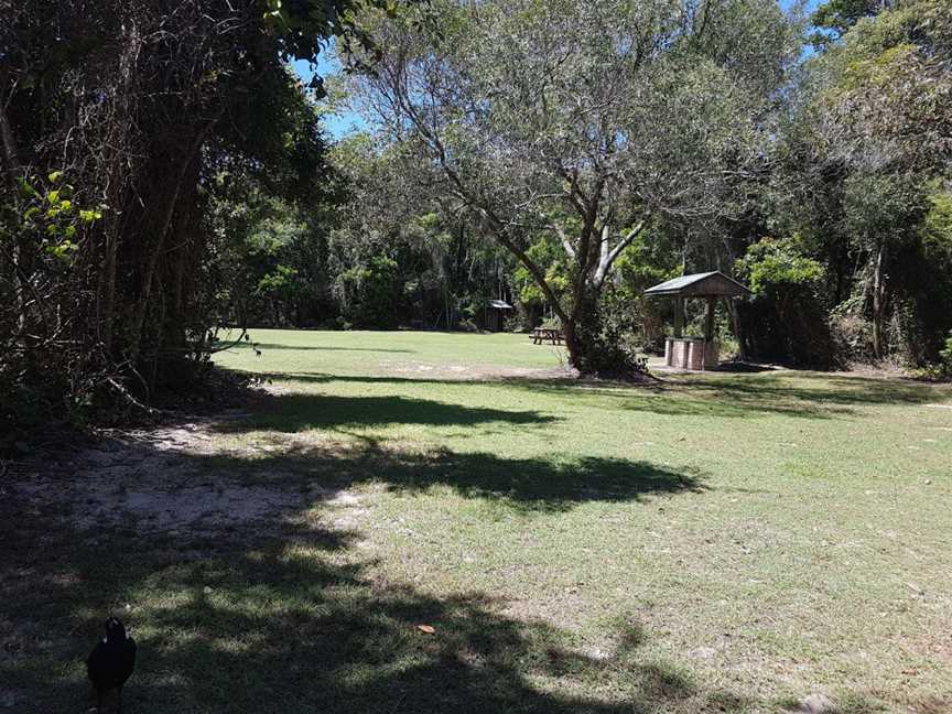 Shark Bay picnic area, The Freshwater, NSW