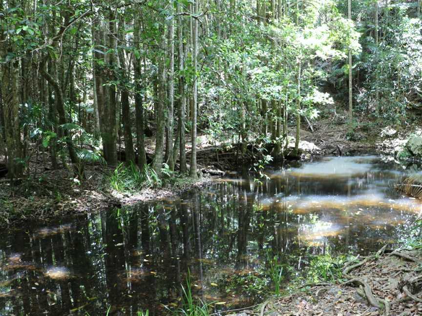 Sherwood Nature Reserve, Sherwood, NSW