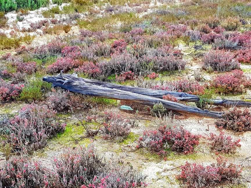 Yenyening Lakes, Bally Bally, WA