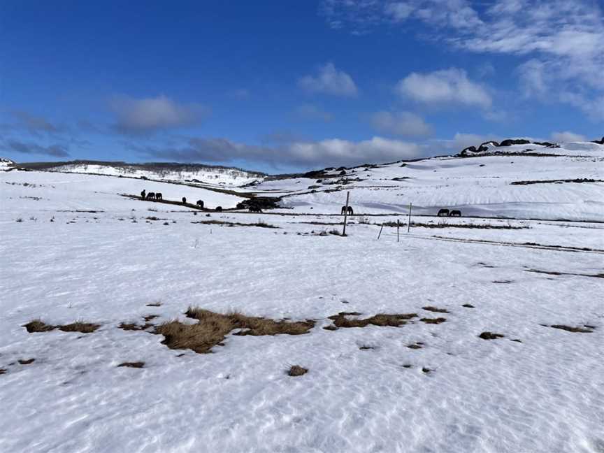 Kiandra heritage track, Kosciuszko National Park, NSW