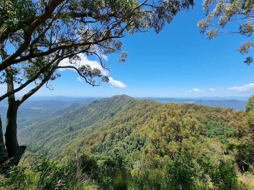 Dunggir National Park, South Arm, NSW