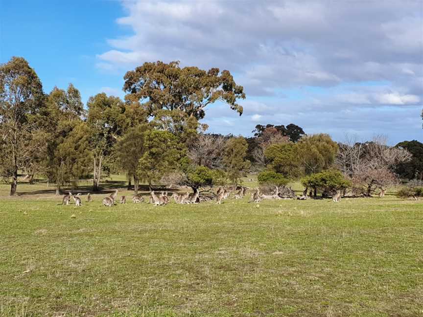 Woodlands Historic Park, Greenvale, VIC