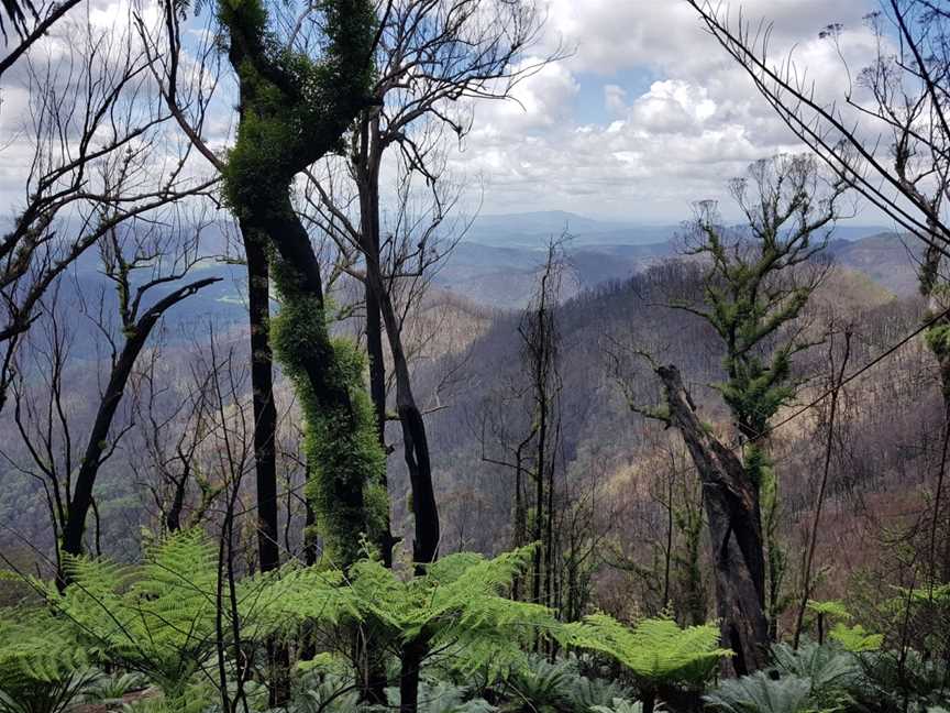 Dunggir National Park, South Arm, NSW