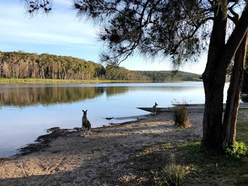 Kayaking Durras Lake, South Durras, NSW