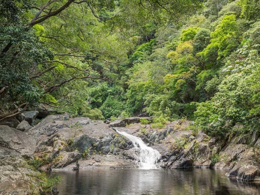 Spring Creek Falls, Mowbray, QLD