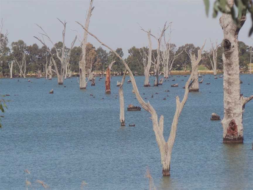 Kyffins Reserve Mulwala, Mulwala, NSW