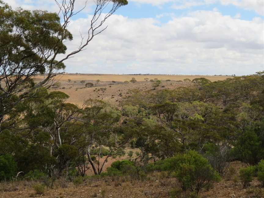 Lenger Reserve, Punthari, SA