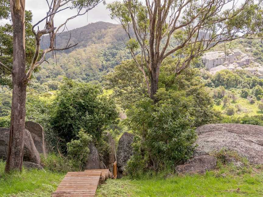 Bellbrook Farm Loop Walk, Central Tilba, NSW