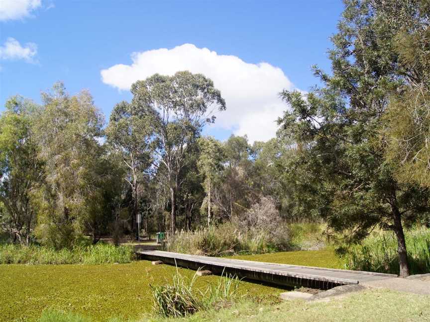 Baldwin Swamp Environmental Park, Bundaberg East, QLD